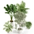Eco Plant Collection: 607732 Polys 3D model small image 5