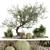  Diverse Greenery Collection 960 3D model small image 1