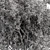 California Bay Bush Set 120 3D model small image 2