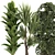 Tropical Plant Collection Set 3D model small image 2