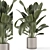 Rustic Concrete Pot Indoor Plants 3D model small image 1