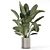 Rustic Concrete Pot Indoor Plants 3D model small image 2