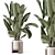 Rusty Concrete Pot Indoor Plants 3D model small image 1