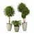 Elegant Dracaena Marginata Plant Set 3D model small image 1