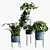 Modern Indoor Plant Set 29 3D model small image 2