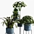 Modern Indoor Plant Set 29 3D model small image 4