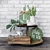 Decor Set 008 Bundle 3D model small image 2