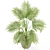 Leafy Greens Collection 3D Plants 3D model small image 2