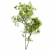 Dual Real Tree 3D Models 3D model small image 4