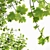 Dual Real Tree 3D Models 3D model small image 5