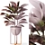 Modern Indoor Ficus Elastica Set 3D model small image 6