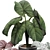 Exotic Caladium Elephant Ear Plant 3D model small image 2