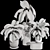 Exotic Caladium Elephant Ear Plant 3D model small image 7