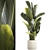Exotic Tropical Plant Collection 3D model small image 1