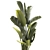 Exotic Tropical Plant Collection 3D model small image 2