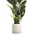 Exotic Tropical Plant Collection 3D model small image 3