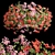 Pelargonium Hanging Plant Model 3D model small image 2