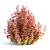  Ottawa Barberry Bushes Collection Vol. 122 3D model small image 4