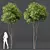 Title: Premium Ash Tree Models 3D model small image 2