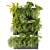 Ampelous Fern Hanging Banana Plant 3D model small image 2