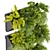 Ampelous Fern Hanging Banana Plant 3D model small image 3