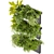 Ampelous Fern Hanging Banana Plant 3D model small image 4