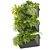 Ampelous Fern Hanging Banana Plant 3D model small image 5