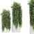 Russian Plants Set 3D Model 3D model small image 2
