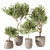 Elegant Interior Plant Decor 383 3D model small image 1