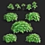 Pachysandra Terminalis 3D Model Kit 3D model small image 2