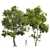  Majestic Angel Oak 3D Models 3D model small image 1