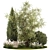 Decorative Tree & Shrub Collection 3D model small image 1