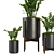 Indoor Plant Set V32-Zamiifolia 3D model small image 2