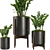 Indoor Plant Set V32-Zamiifolia 3D model small image 4