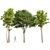  Diverse 3D Tree Models 3D model small image 1
