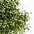  Diverse 3D Tree Models 3D model small image 4