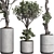 Olive Bonsai Tree Pottery Decor 3D model small image 4