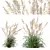 Mexican Feather Grass 3D Models 3D model small image 1