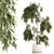 White Flowerpot Weeping Willow 3D model small image 1