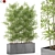 Botanical Beauties Bundle 973 3D model small image 1