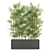 Botanical Beauties Bundle 973 3D model small image 2
