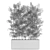Botanical Beauties Bundle 973 3D model small image 4