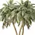 Tropical Palm Tree 3D Model 3D model small image 2