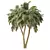 Tropical Palm Tree 3D Model 3D model small image 3