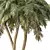 Tropical Palm Tree 3D Model 3D model small image 4