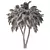 Tropical Palm Tree 3D Model 3D model small image 5