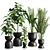 Greenery Enhancing Indoor Plant Collection 3D model small image 1