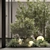 Botanical Bundle 3D Plants Set 3D model small image 3