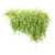 Creeper Plants Collection Vol. 225 3D model small image 2