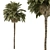 220 Date Palm Tree Set 3D model small image 1